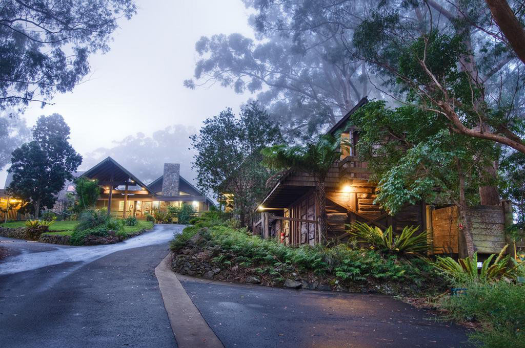 Binna Burra Mountain Lodge غولد كوست المظهر الخارجي الصورة